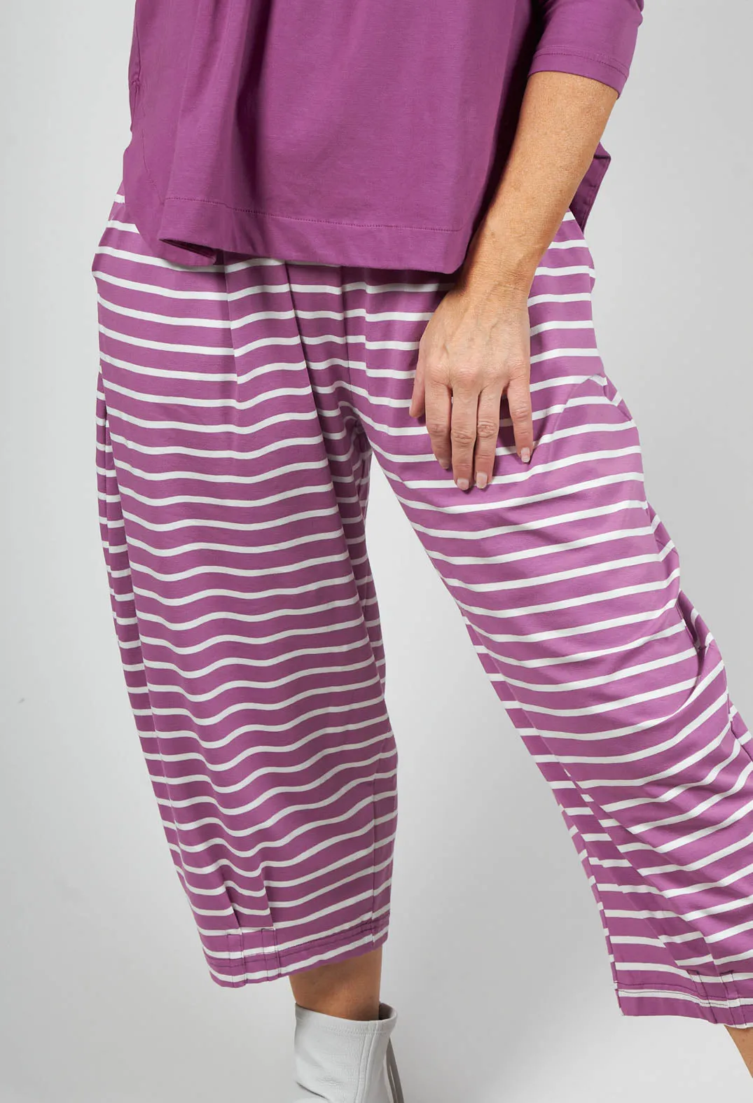 Bianco Jr Trousers in Rapa Stripe