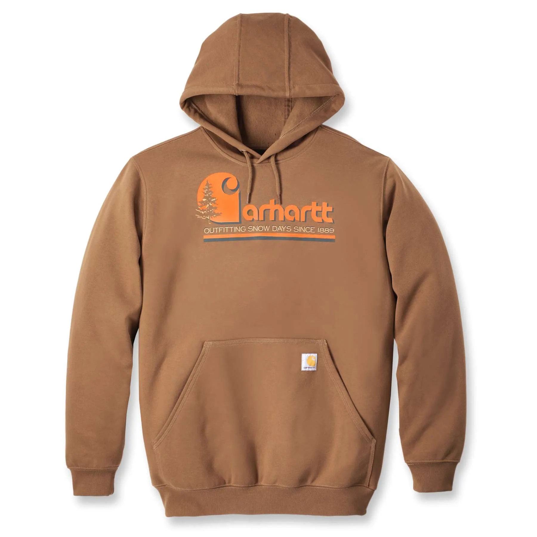 Carhartt Loose Fit Midweight Graphic Hoodie