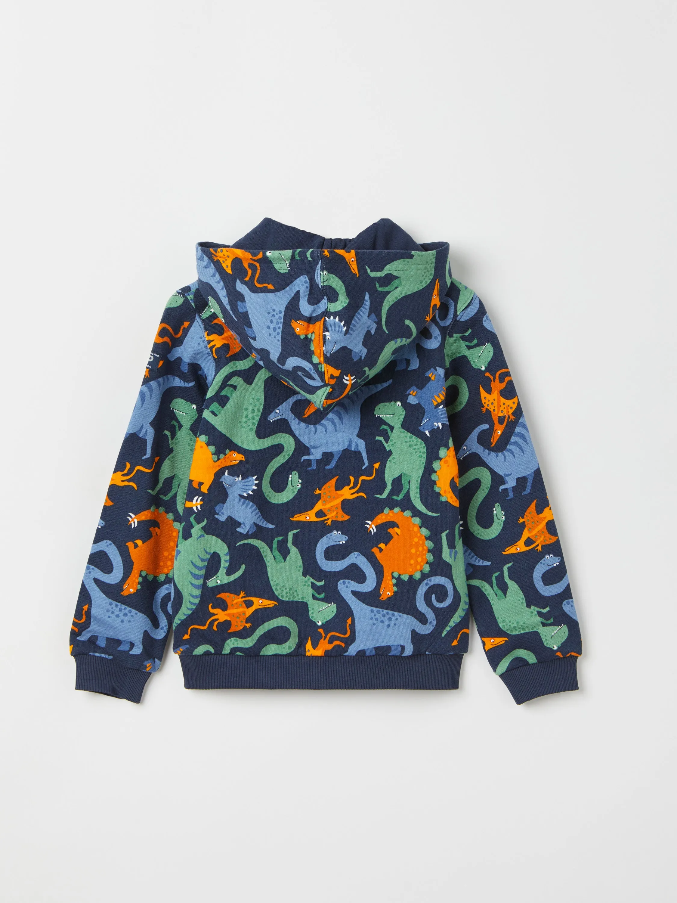 Dinosaur Print Kids Hoodie