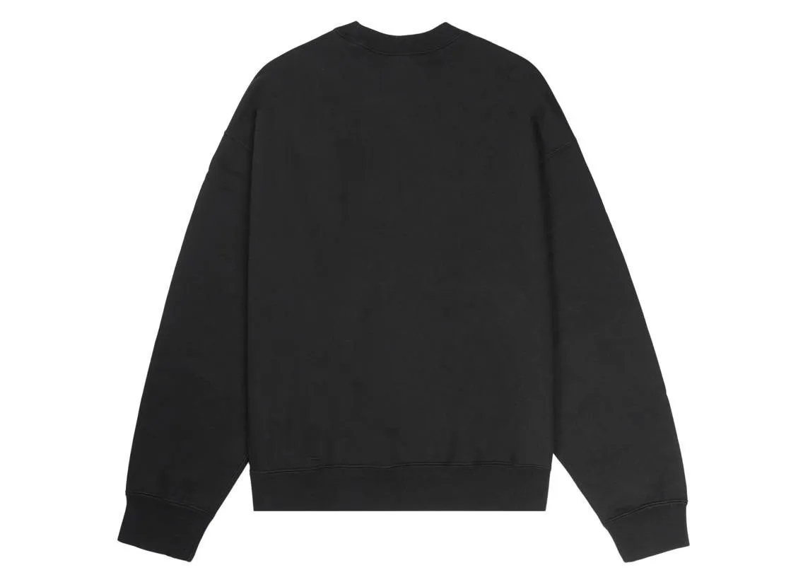 STUSSY  |Crew Neck Pullovers Street Style Long Sleeves Logo