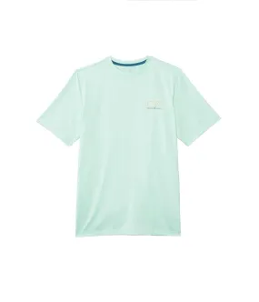 Vineyard Vines Kids Short Sleeves Whale Harbor Tee (Little Kid)